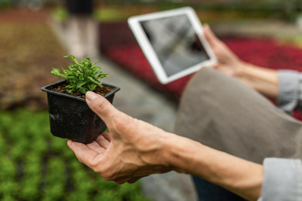 person holding tab and small tree pot in hand