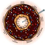 amsterdam doughnut model