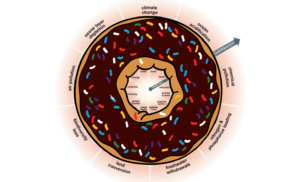 amsterdam doughnut model
