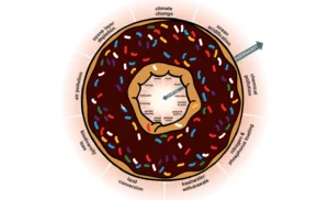 amsterdam doughnut model