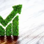 sustainability risk management