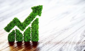 sustainability risk management