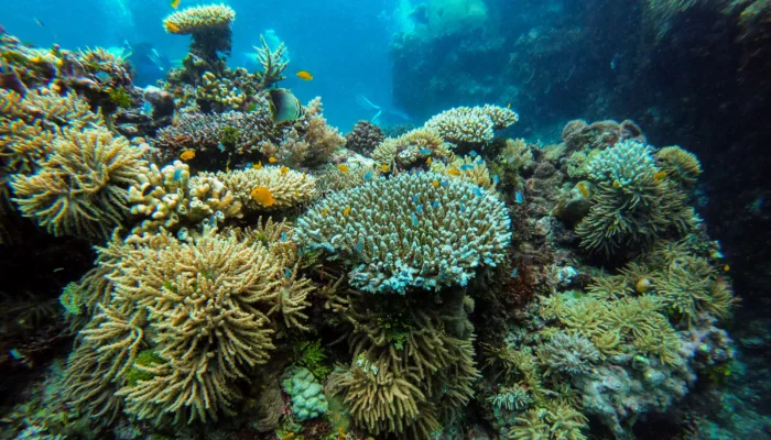 10 reasons why you should love the ocean