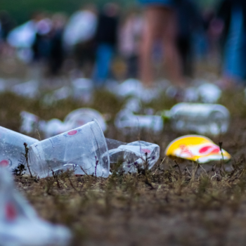 plastic littered on grass