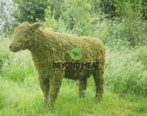 Is beyond meat sustainable?