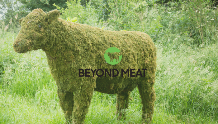 Is beyond meat sustainable?