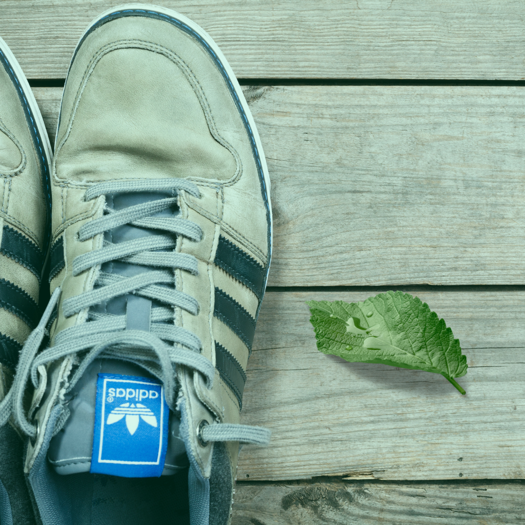 Blaast op Het begin Iedereen Better brands: Is Adidas sustainable?? — Sustainable Review