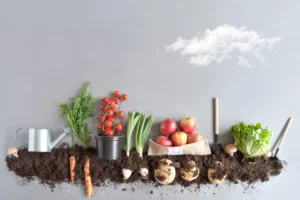 Easy edibles plants to grow