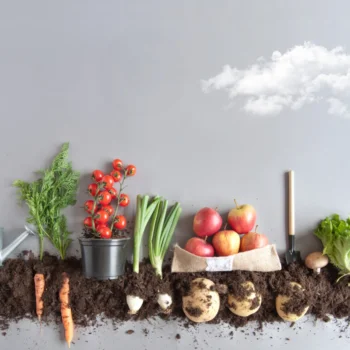 Easy edibles plants to grow