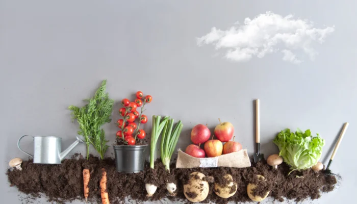 Easy edibles plants to grow