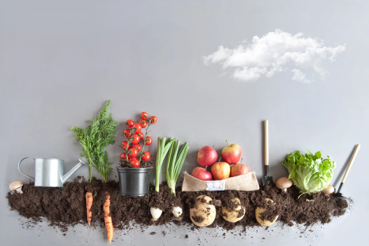 Easy edibles plants to grow