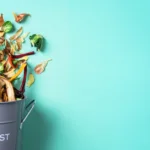 How to start a compost