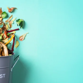 How to start a compost