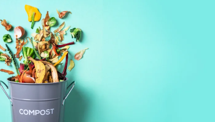 How to start a compost