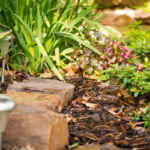 sustainable landscaping tips
