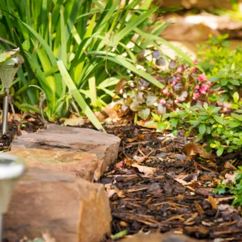 sustainable landscaping tips