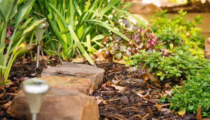 sustainable landscaping tips