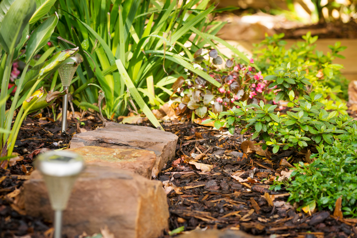 sustainable landscaping tips
