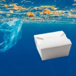 environmental impact of food takeout