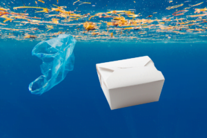 environmental impact of food takeout