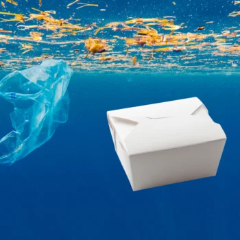 environmental impact of food takeout