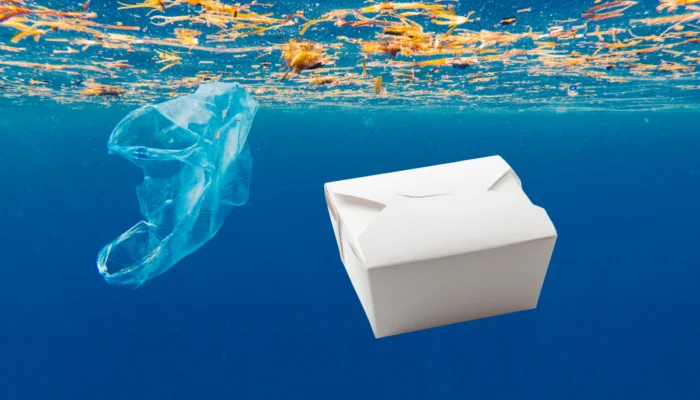 environmental impact of food takeout