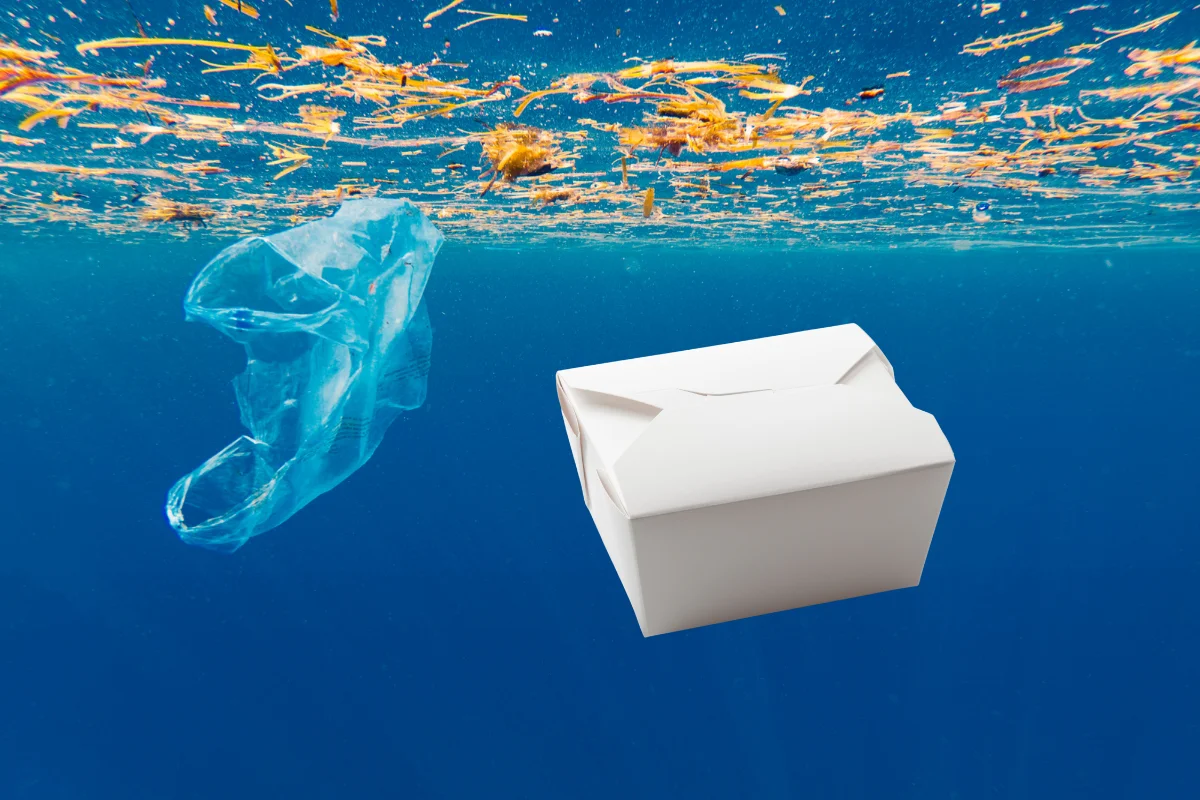 environmental impact of food takeout