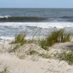 clean water jersey shore
