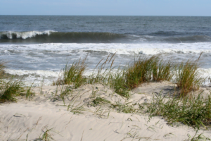 clean water jersey shore