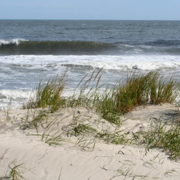 clean water jersey shore