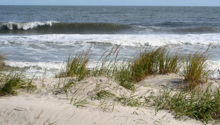 clean water jersey shore