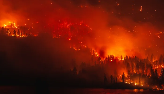 reasons to be optimistic about earth's future