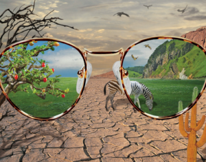 the problem with esg funds