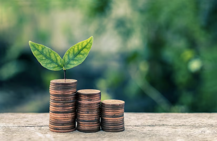 seeding plant are growing money coin tower with blurred background business finance concept