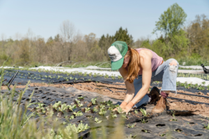 woman in pink shirt and blue denim jeans sitting on brown rock Planting spring transplants during daytime