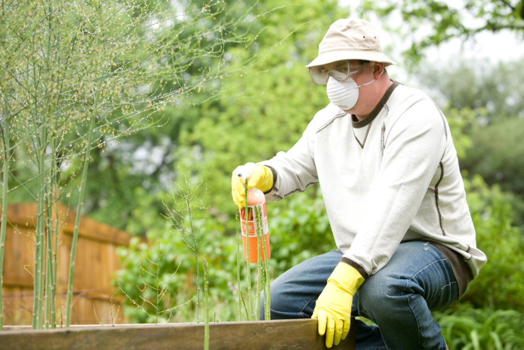 man in white long sleeve shirt and blue denim jeans sitting on brown wooden fence watering plants