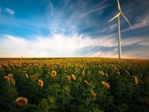 windmill in a sunflower field