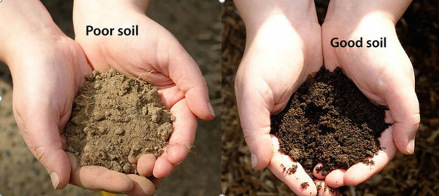 good soil and poor soil in hand