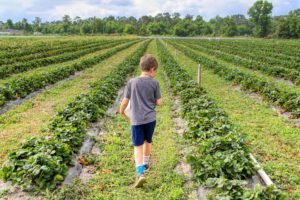 Boy in gray t-shirt walking on green field during day time