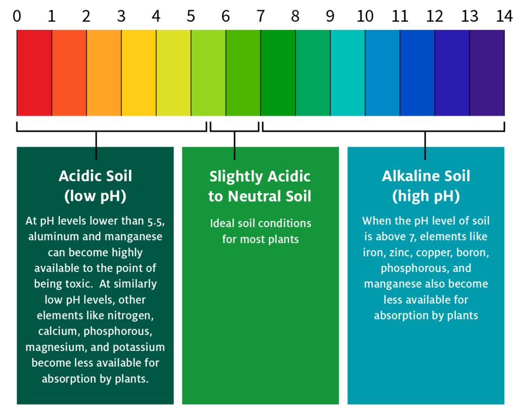information of different types of soil