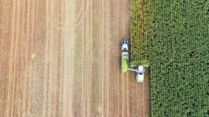 top view of crop harvesting