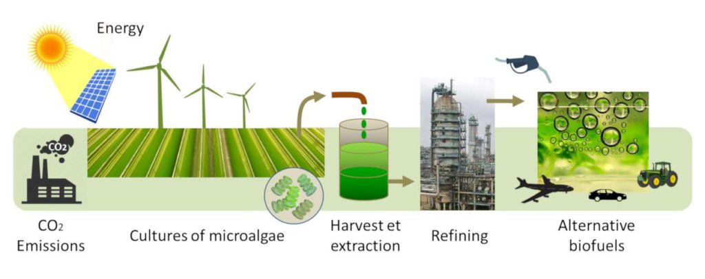 different types of biofuels