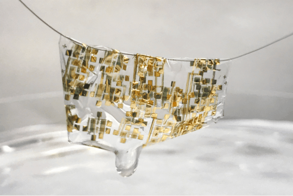A biodegradable semiconductor developed by Stanford University researchers.
