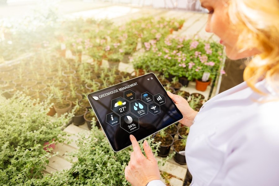 Woman using smart tech for greenhouse plant management