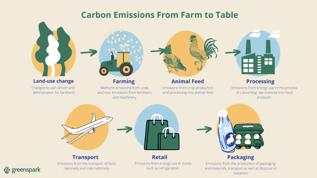 carbon emissions from farm to table artwork