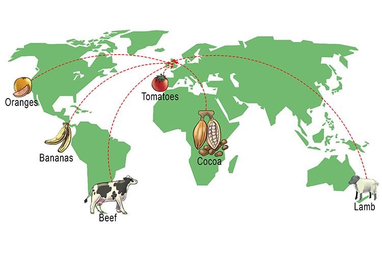 food mile illustration in global map