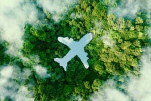 plane shape in green forest illustration