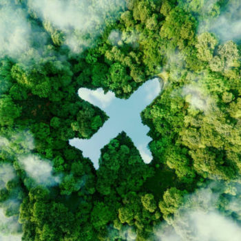 plane shape in green forest illustration