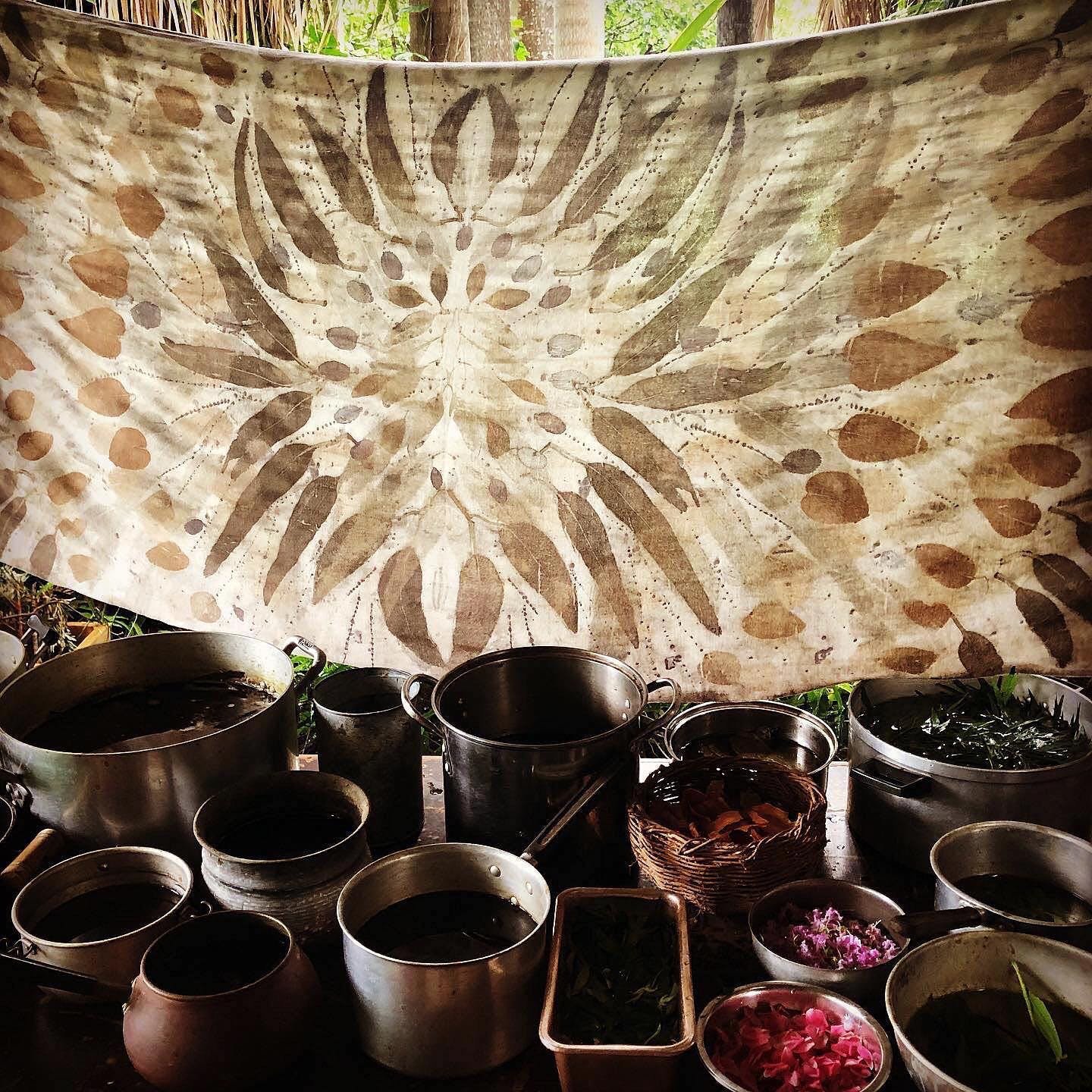 Ciganka – Artforms from Nature