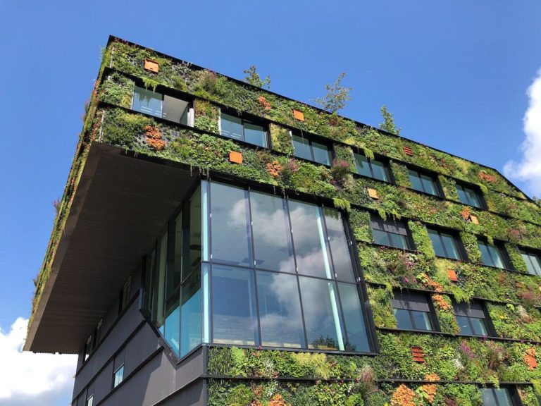 a green building